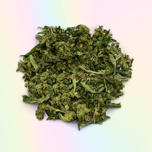 BUY SKYWALKER SHAKE ONLINE US (HYBRID)